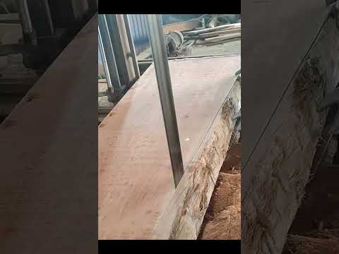 #woodcut #carpentry #cutting #woodcuting #cuttingwood #diy #wood #woodworking #satisfying