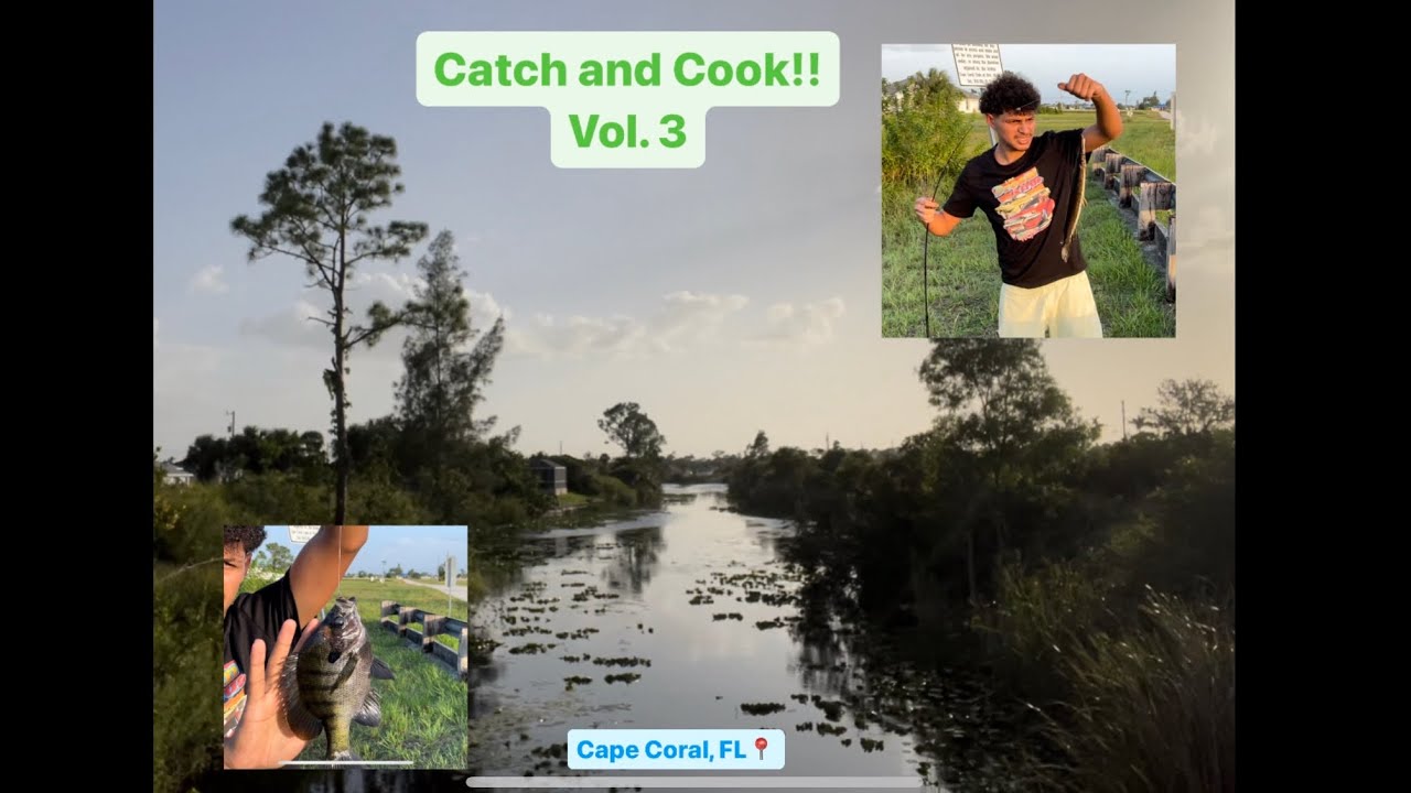 Cape Coral Canal Fishing (Catch and Cook)!! *Vol 3* YouTube