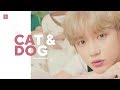 TXT - Cat & Dog Line Distribution (Color Coded)