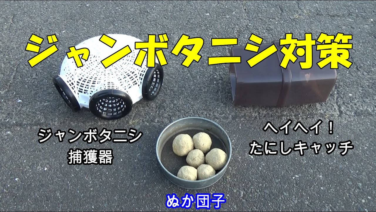 田んぼにジャンボタニシの捕獲器を仕掛けてみたところ… - YouTube