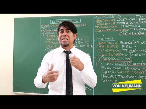 La sensación - parte 2