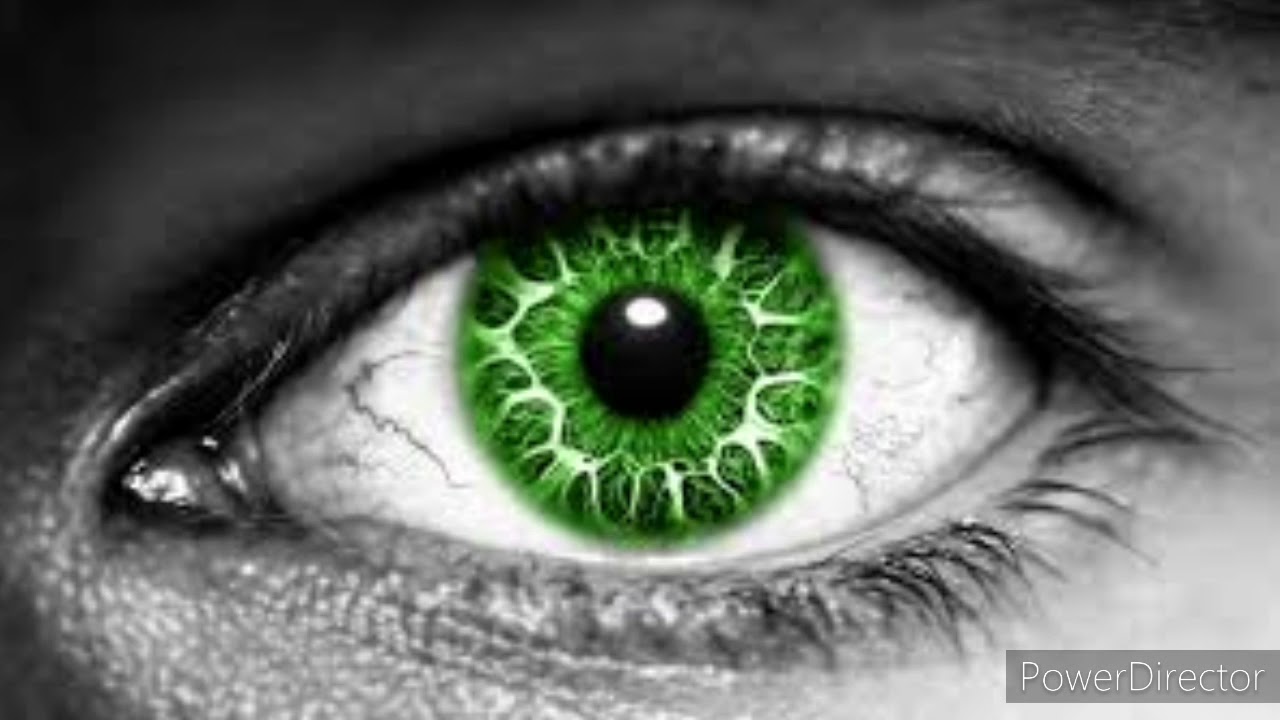 Roqya  protection  destruction mauvaise oeil blocage contre tout type de mal