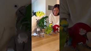 Download Lagu Felt the Bass MP3