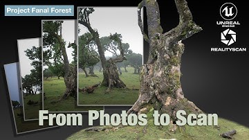 Get Perfect Scans – Preparing Images for RealityScan Photogrammetry