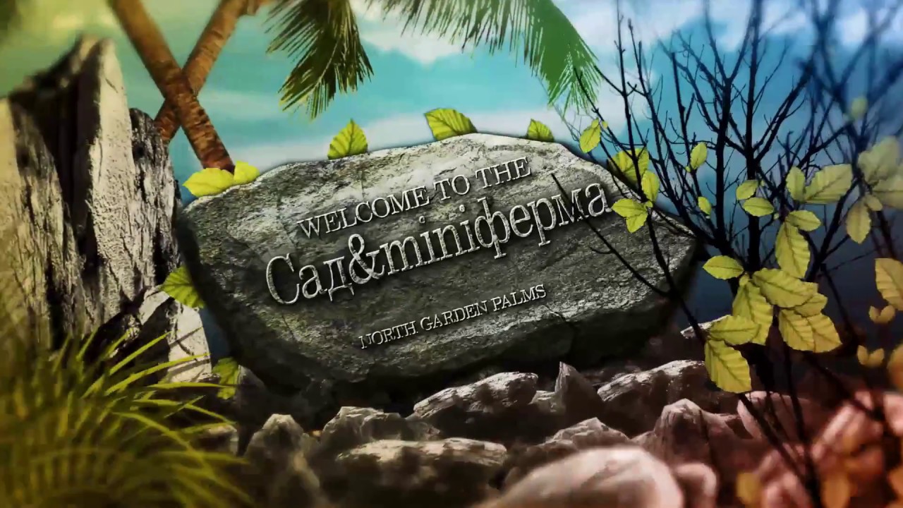 Пальмы  в Открытом Грунте