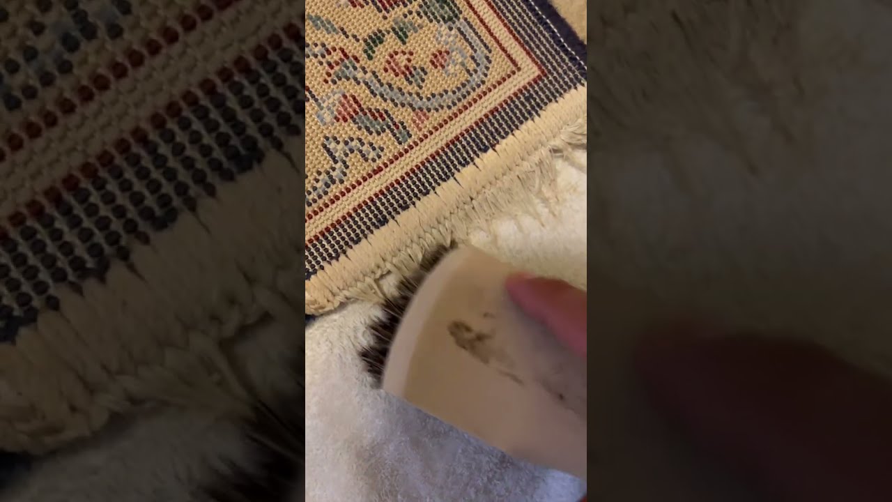 Detailing Cotton Fringes | Area Rug Cleaning in Fort Smith, AR