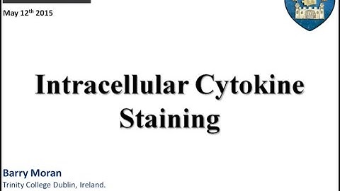 The Basics of Intracellular Cytokine Staining