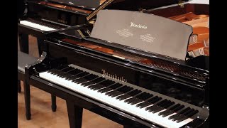 Pre-Owned Bösendorfer 214VC | Sometimes | PianoWorks by PianoWorksAtlanta 318 views 3 weeks ago 1 minute, 28 seconds