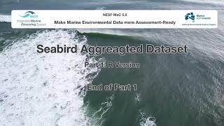 Celebrity Seabird Observation & Tracking Dataset (R) Part 1: Connecting to the Dataset & Exploratory Analysis Net Worth