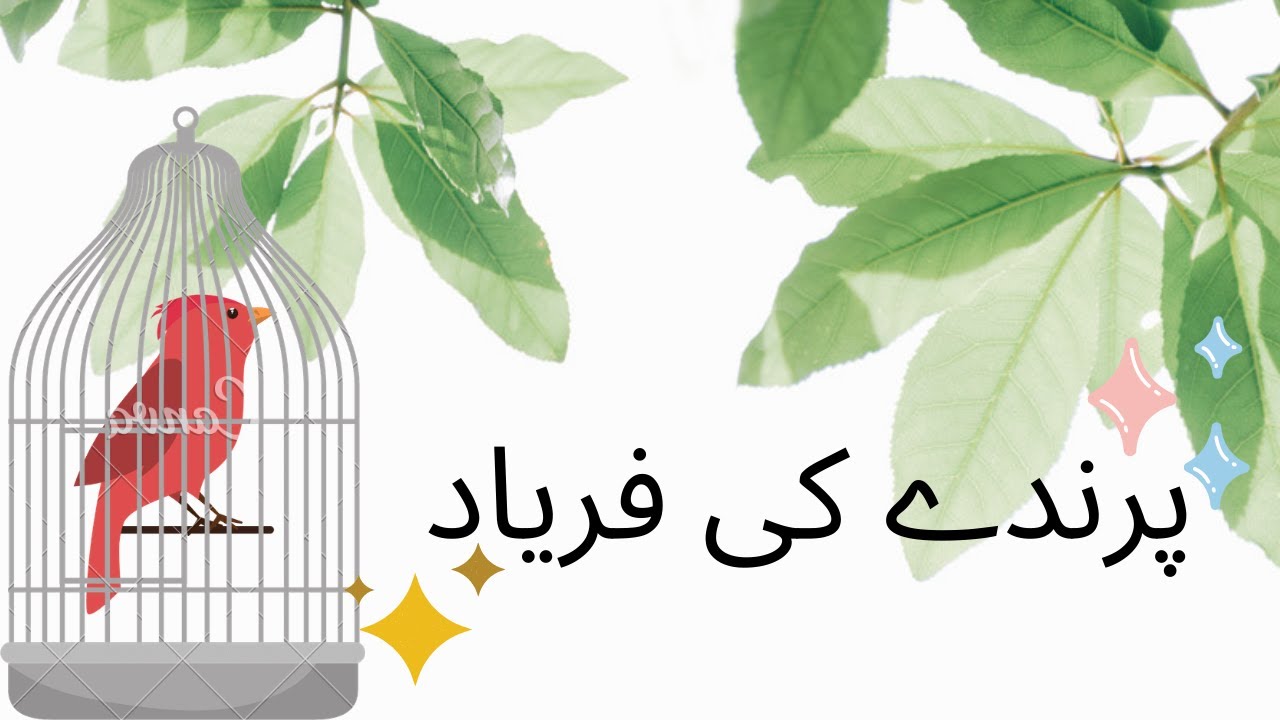      Parinde Ki Faryad The Birds Complaint  Allama Iqbal  Fikar e Iqbal