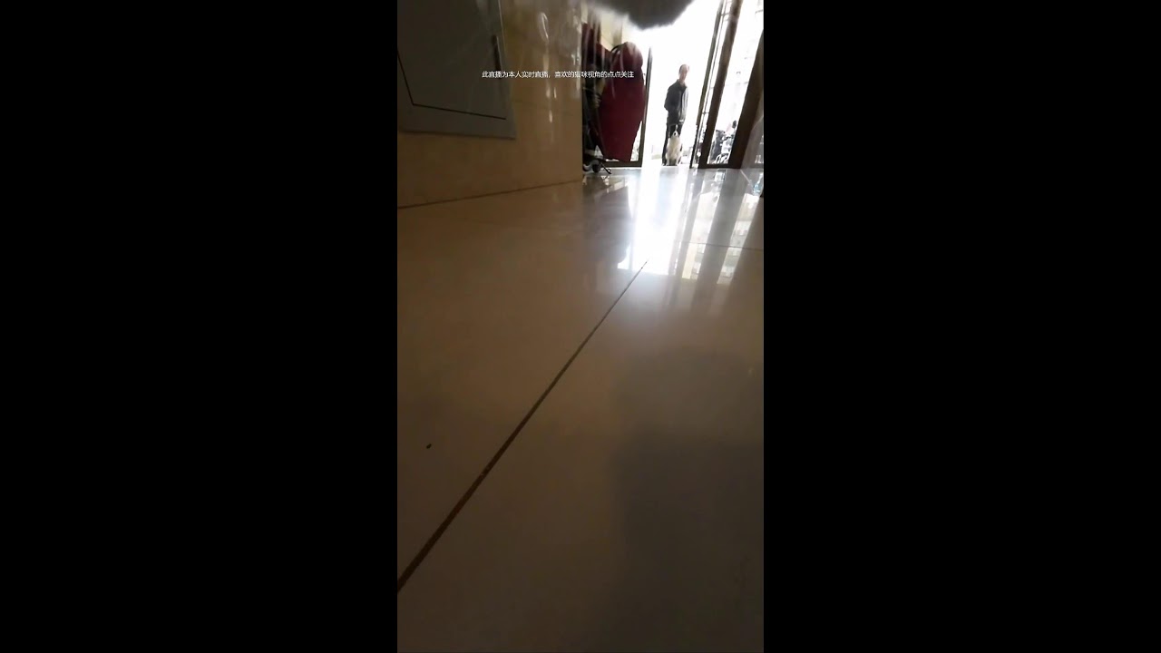 Cat Live｜ねこライブ｜貓咪直播｜ 2026-02-27 14:29:35