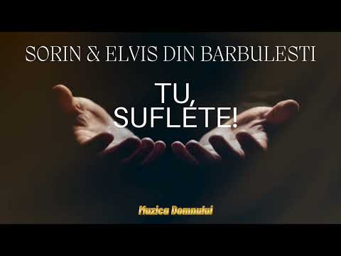 Tu, suflete! – Sorin si Elvis din Barbulesti | Cantare crestina |🕊️ Muzica Domnului 🕊️