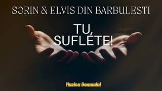 Tu, Suflete Sorin Si Elvis Din Barbulesti Cantare Crestina Muzica Domnului