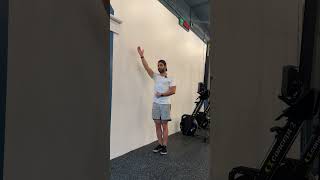 Reverse Shoulder Wall Circles