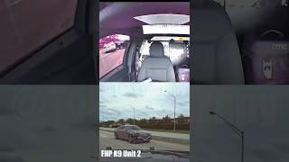 Carjackers Steal Tesla with AR 15s in Front of FHP #police