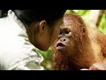 Timba's Learning Journey and Breakthroughs