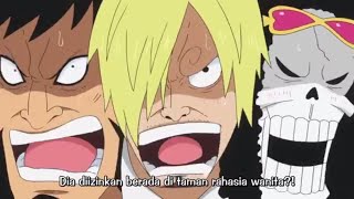 Momen Ketika Sanji,Brook Dan Kinemon Iri Dengan Momonosuke Karena Bisa Mandi Bareng Robin Mihawktv