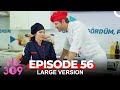 No 309 Episode 56 Large Version 