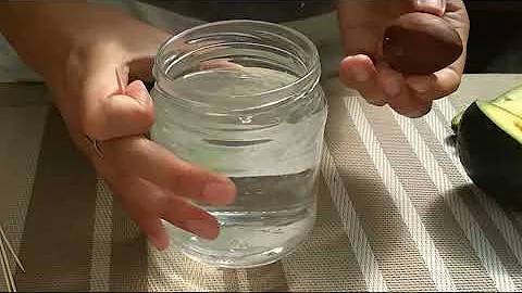 Как вырастить АВОКАДО 🌱 из косточки