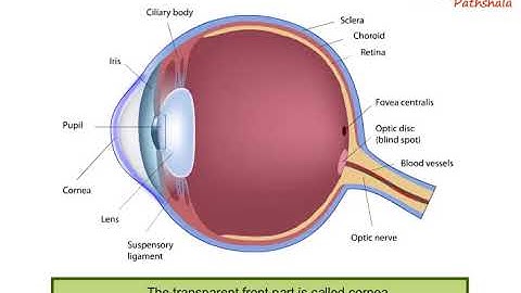 NCERT CBSE Class 8 Science Chapter 16 Light Part 2