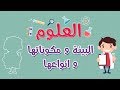 العلوم | البيئة و مكوناتها و انواعها