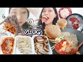 VLOG) 또 이렇게 사는 브이로그