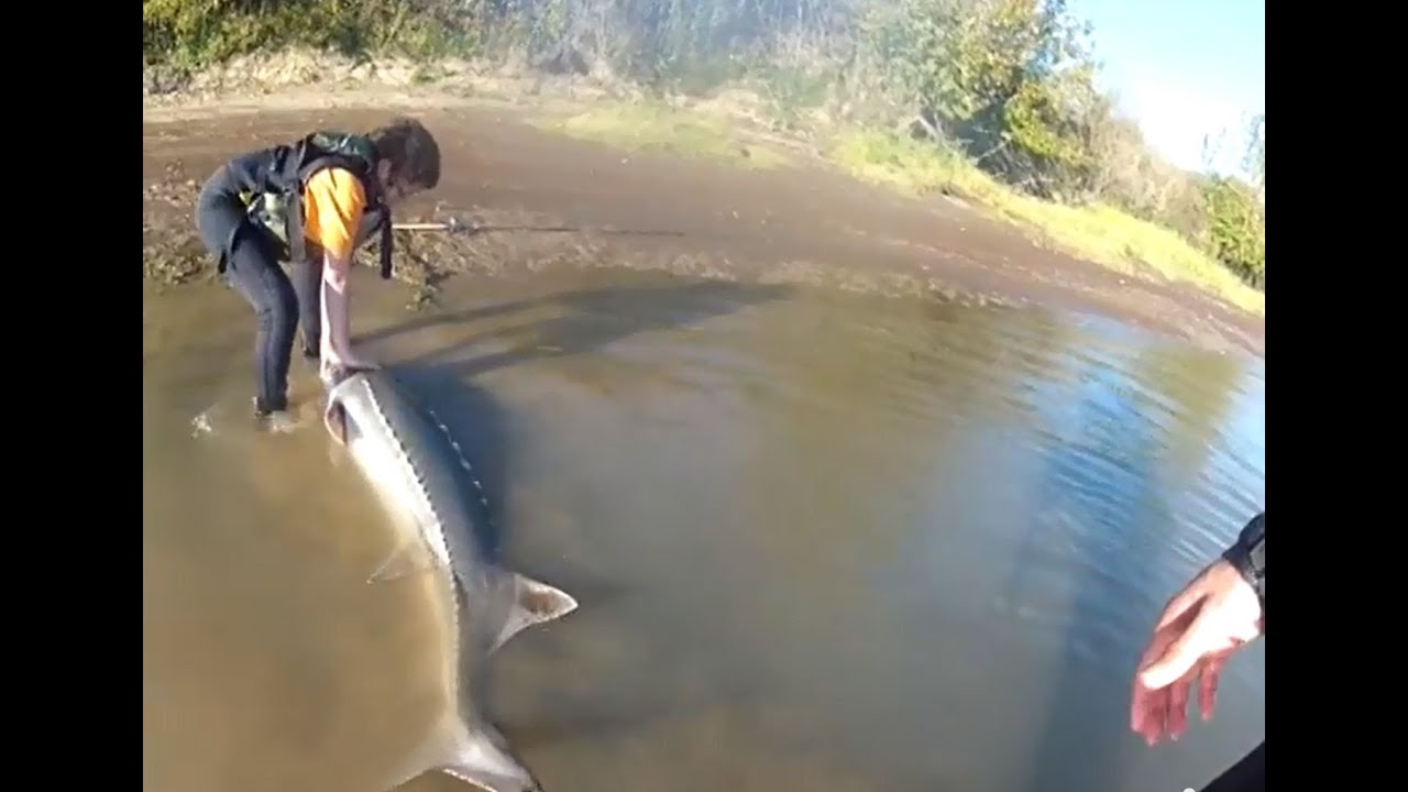 10 y/o Takes an Extreme Sturgeon Sleigh Ride