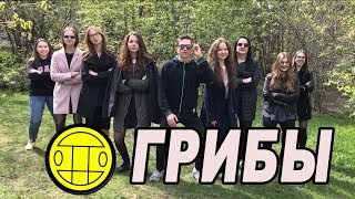 ШКОЛЬНИКИ ПЕРЕПЕЛИ ГРУППУ ГРИБЫ - ТАЕТ ЛЕД! ПАРОДИЯ! ВЫПУСКНОЙ КЛИП!