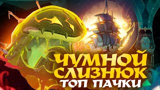 : AFK Journey.  .  , .   ,     .