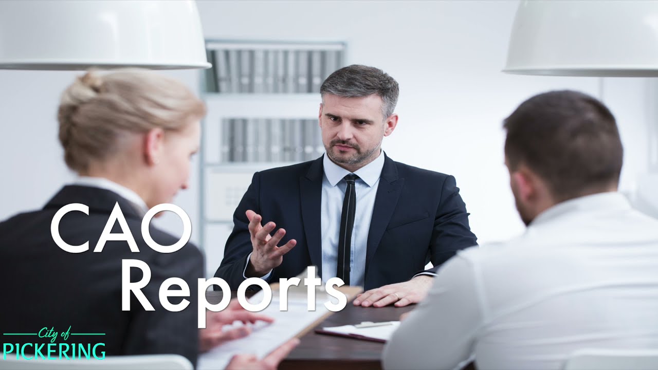 Experience The VIBE Media