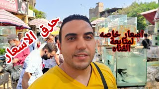 سوق الجمعه بالسيدة عائشة اسعار خاصه لمتابعى القناه احمد اشرف screenshot 4