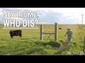 Prepping a New Pasture - Our Wyoming Life