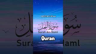 Surah Naml Urdu Translation Videos Arif