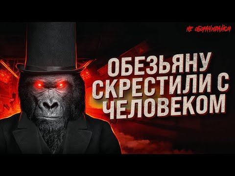 Жуткий эксперимент: попытка скрестить человека и обезьяну. Тайна русского биолога