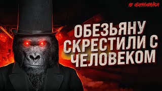 Жуткий эксперимент: попытка скрестить человека и обезьяну. Тайна русского биолога