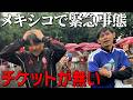 【大ピンチ】チケット無いけどコロンビアvsウズベキスタンの会場に行く！