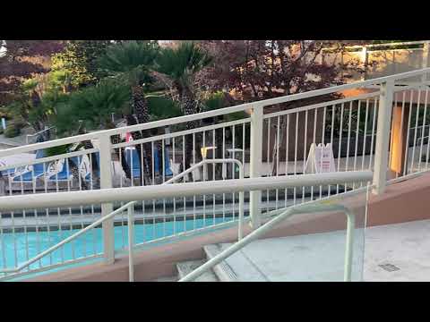 buffalo game from gold coast casino in Las Vegas Nevada