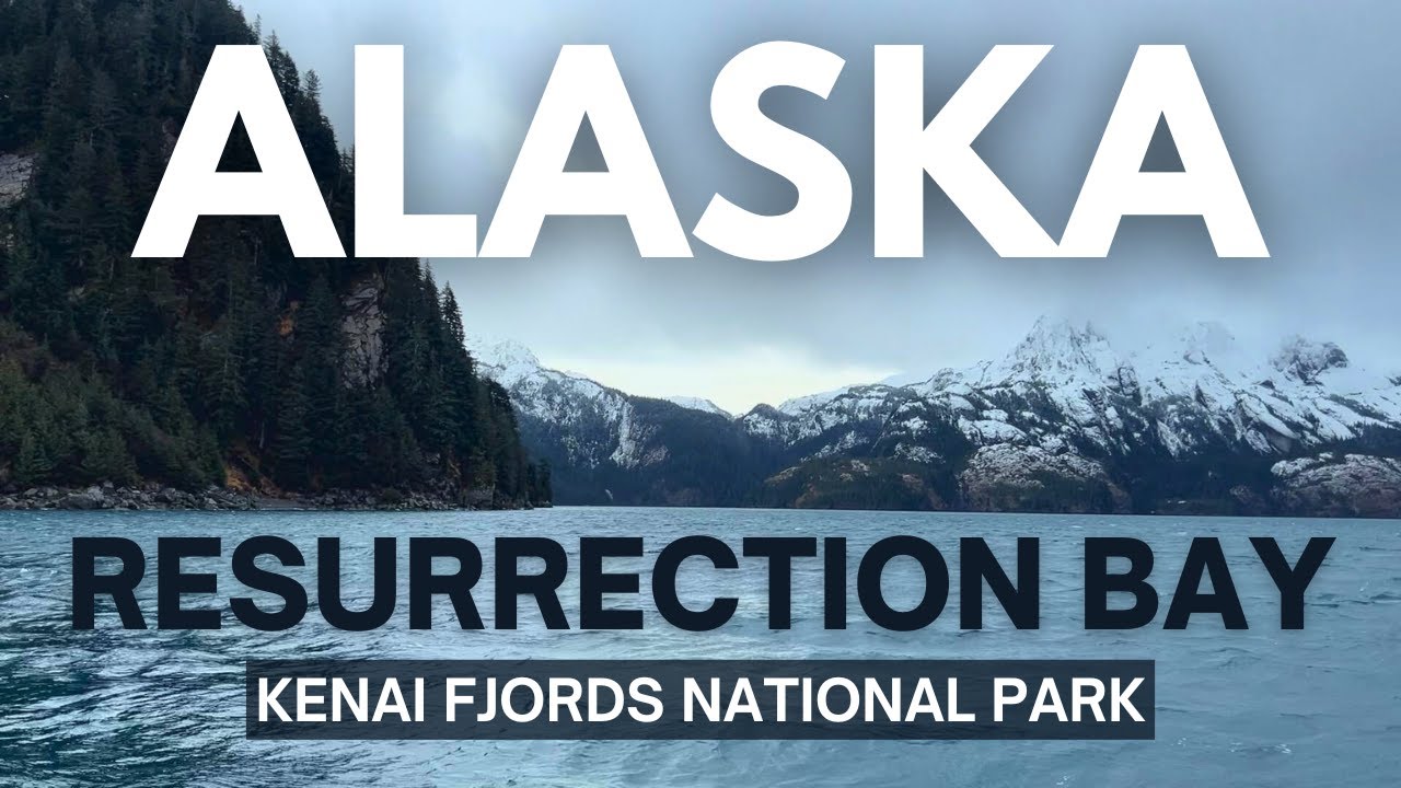 Exploring Resurrection Bay in Seward, Alaska | Wildlife & Wilderness