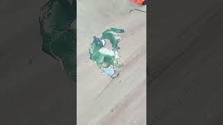 #earth #pangea #gondwana #pangea proxmia