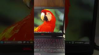 Dell G3 3500 - Budget Gaming Laptop - UNBEATABLE PRICES🔥♥️ #dell #g3 #3500 #gaminglaptop #laptop