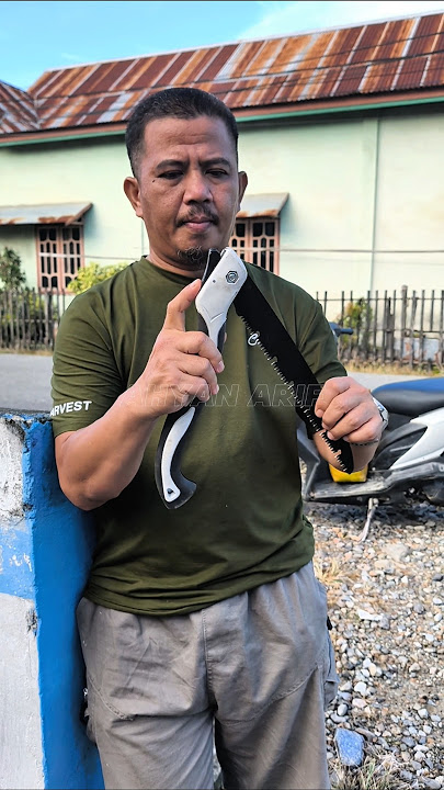 Portable Folding Saw