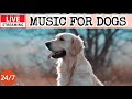 🔴[LIVE] Dog Music🎵🐶Calming Music for Dogs🐶💖Separation Anxiety Relief🦮Relaxing Music for Sleep🔴18