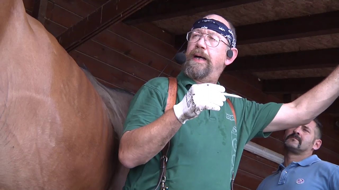 Noi ci siamo!!! Video-corso di Mascalcia in regalo per te  la seconda parte.