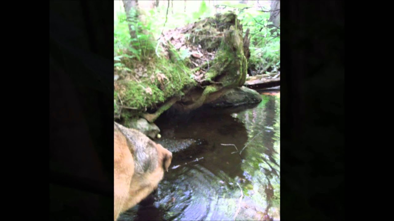 SteÉméliedel'Énergie YouTube