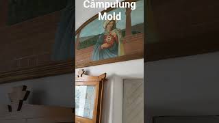 Câmpulung Moldovenesc#Biserica Romano-Catolica