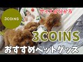 【スリーコインズ ペットグッズ】新作犬グッズが便利で可愛い!サイズが気になる人必見!レビューしながら購入品紹介!