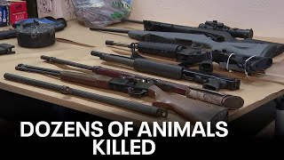 80 animals found shot to death in Monterey County | KTVU