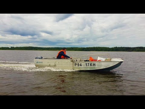 Амфибия дон
