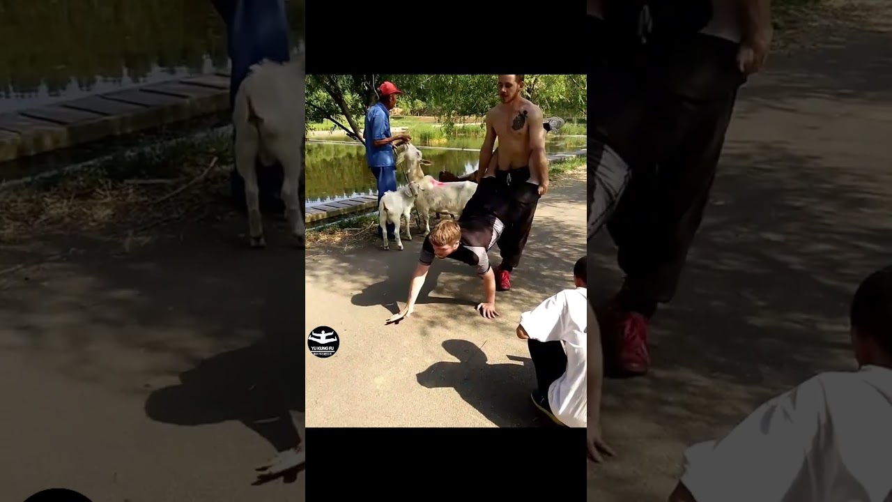 Amazing Kung Fu Power Training Exercise at 