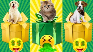 choose you gift - The Ultimate Pet-Lover Showdown: Cat vs Dog Gift Challenge - 🐈 🐕